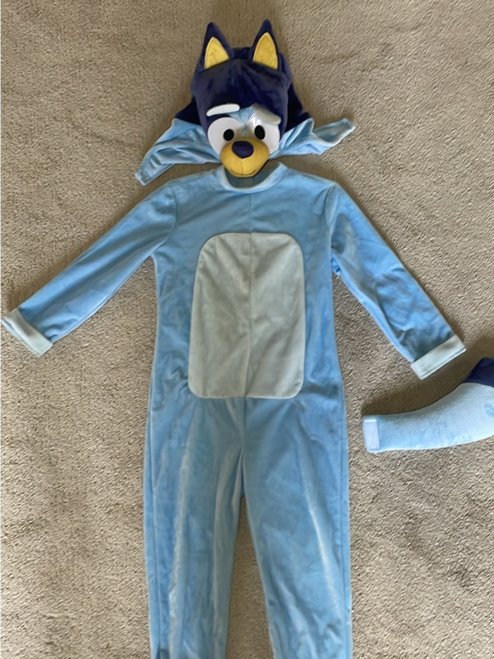 Bluey Costume